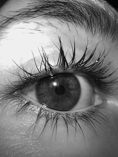 an eye with very long lashes is shown in black and white