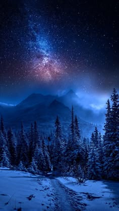 the night sky is filled with stars and clouds, as well as snow covered trees