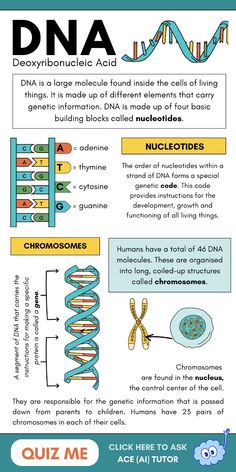 an info sheet with information about the different types of animals and their functions in life