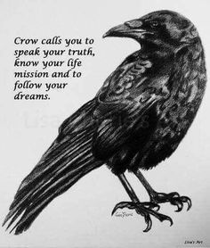 a drawing of a black bird sitting on top of a piece of paper with the words crow calls you to speak your truth, know your life mission and to follow your dreams