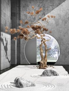 a bonsai tree sitting in front of a round mirror on the floor next to rocks