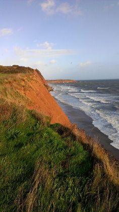 the beach is covered in green grass and waves crashing on it's shore line