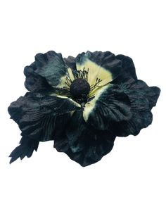 a black and yellow flower on a white background