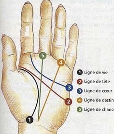 Hand Reflexology, Astrology Art, Acupressure Points, Les Chakras, Tarot Art, Sciatica