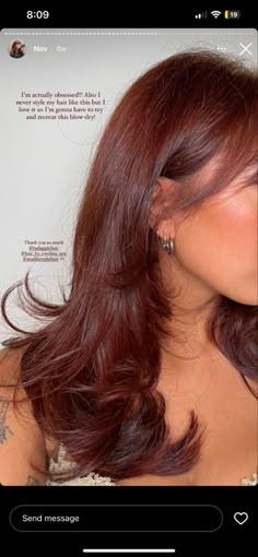 Highlights For Sandy Brown Hair, Ginger Hair Color Pale Skin, Mahogany Brown Hair Color Black Women, Dyed Hair No Bleach, Brown Eye Hair Color Ideas Olive Skin, Straight Hair Dye Ideas, Asian Auburn Hair, Copper Hair On Olive Skin, Hair For Cool Toned Skin