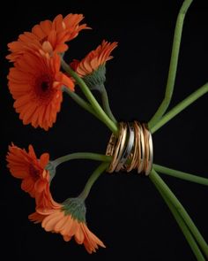 three gold rings on top of orange flowers