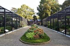 an outdoor garden with lots of plants and flowers in the center, surrounded by glass walls