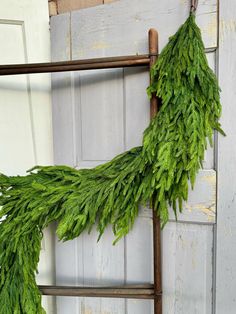 a ladder with some green plants hanging from it