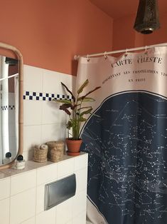 a bath room with a shower curtain and a potted plant on the counter next to it