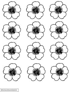 six different flowers with black and white outlines on the bottom, one is an image of