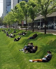 many people are laying on the grass and reading