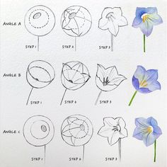 an image of flowers that are drawn on paper