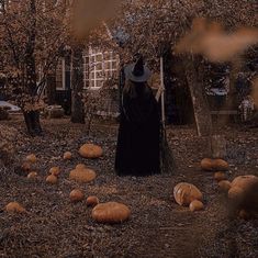 a woman in a black dress and hat walking through a yard filled with pumpkins