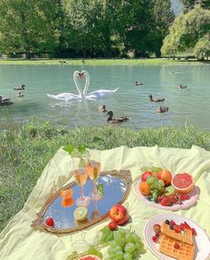 a picnic with fruit, waffles and watermelon on the grass