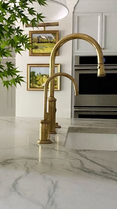 a kitchen with marble counter tops and gold faucet, framed pictures on the wall