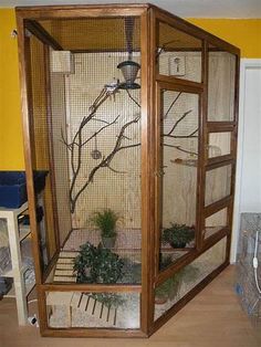 a cage with plants inside of it on the floor