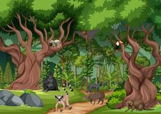 many animals in the forest with rocks and trees