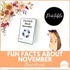 an orange and white poster with the words fun fact about november next to a hedge