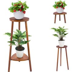 three potted plants sitting on top of wooden stands