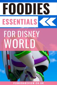 foodies essentials for disney world with text overlay that reads, top foods essentials for disney world