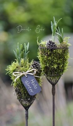 Deco Nature, Garden Deco, Front Porch Christmas Decor, Rustic Gardens, Christmas Decor Ideas, Arte Floral, Flower Farm, Garden Crafts, Winter Garden