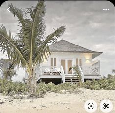 a white house on the beach with palm trees