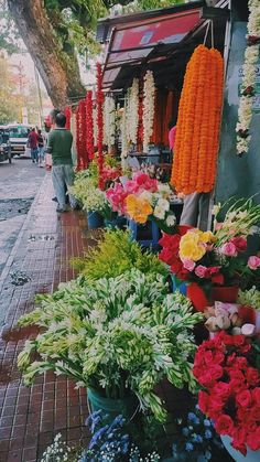 colorful flowers are on display at an outdoor market