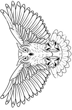 an owl flying with its wings spread