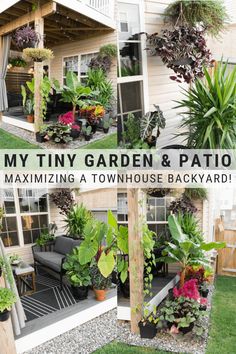 several pictures of different types of plants in front of a house with the words my tiny garden and patio