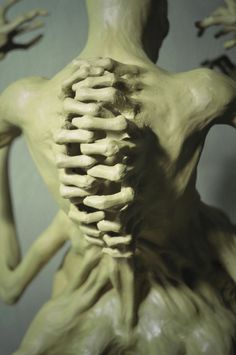 the back view of a human skeleton with hands on it's chest and arms outstretched