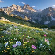 Pyrenees Mountains Stunning Scenic Imagery Beautiful Scenes Nature, Landscape Images Photography, Calm Nature Aesthetic, Mountain Background Landscape, Landscape Photos Nature, Environment Aesthetic, Mountain Landscaping, Spring Landscape Photography, Flowers Mountain