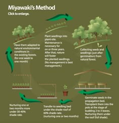 a diagram showing the different stages of plants growing in their own garden, and how they are