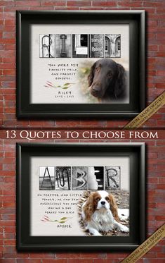 two framed pictures with the names of dogs on them, one is brown and white