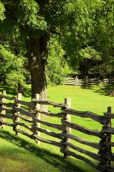 a wooden fence in the middle of a grassy field next to a large tree with green leaves on it