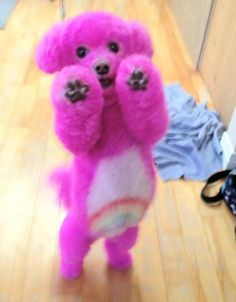 a pink teddy bear standing on its hind legs