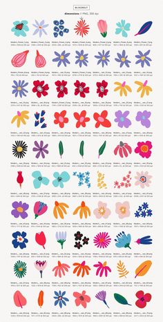 an image of flowers that are in different colors and sizes, with the names below them