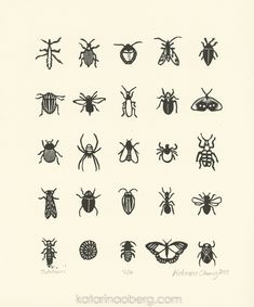 the different types of bugs are shown in black and white