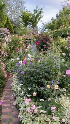 a garden filled with lots of flowers and greenery