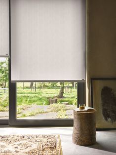 a living room with an area rug and window blinds