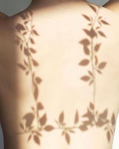 the back of a woman's body with leaves casting a shadow on her skin