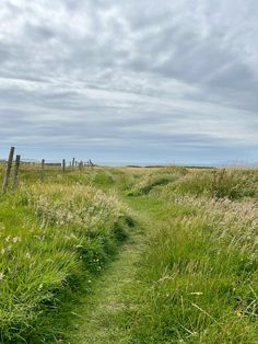 a path in the middle of a grassy field