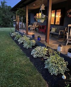 some plants are growing out of the black mulch in front of a house at night