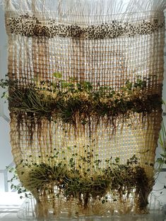 an art piece made out of woven material with plants growing on top of the fabric