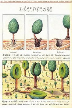 an image of trees and plants in different stages of growth, with instructions for how to grow them