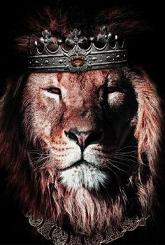 a lion with a crown on it's head is shown in this artistic photo