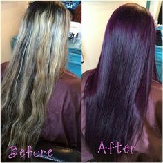 Violet Brown Hair, Dark Violet Hair, Toned Hair, Hair Tint, Caramel Blonde, Logan Utah