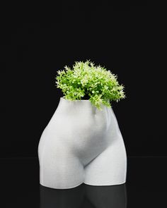 a white vase with green plants in it