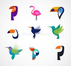 colorful birds and hummings with different shapes on white background - stock photo for commercial use