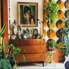 a living room filled with lots of plants and pictures hanging on the wall next to a dresser