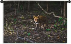 a small red fox walking through the woods